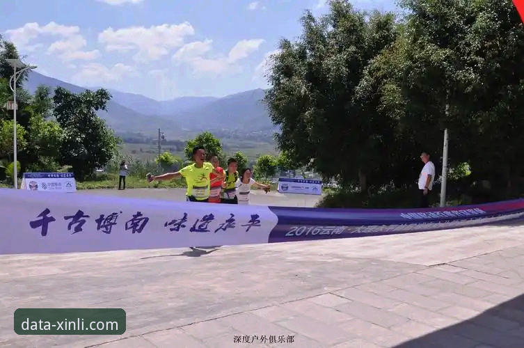 新利体育XINLI官方版全面解析：从新手到高手的体育数据平台深度分析